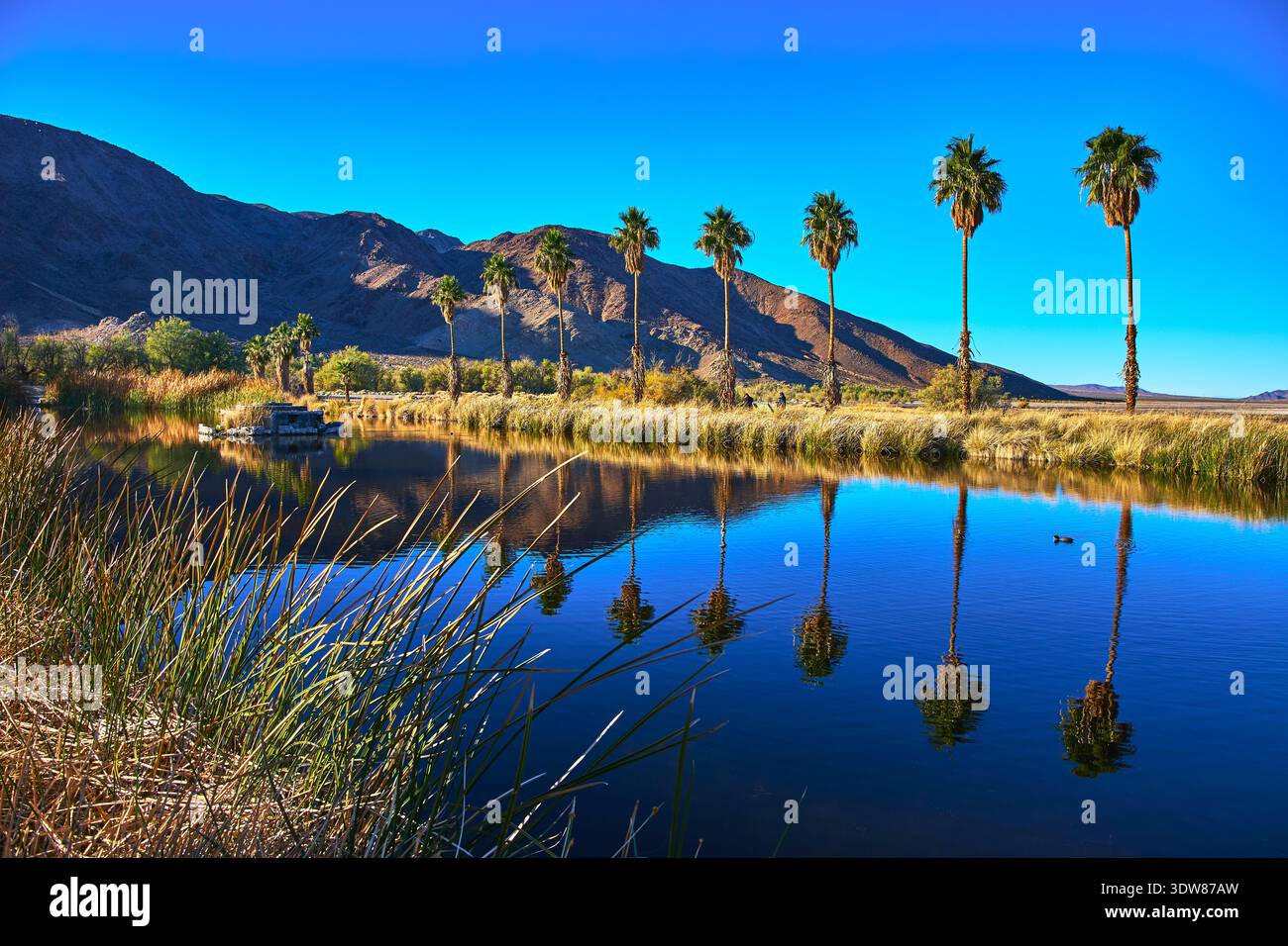 風景写真 Zzyzx california hi-res stock photography and images - Alamy