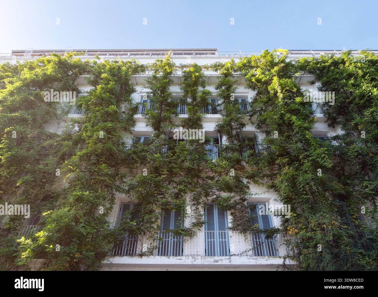 Picture Idea: Green Ivy Covered Apartment Facade Urban Jungle Sustainable
