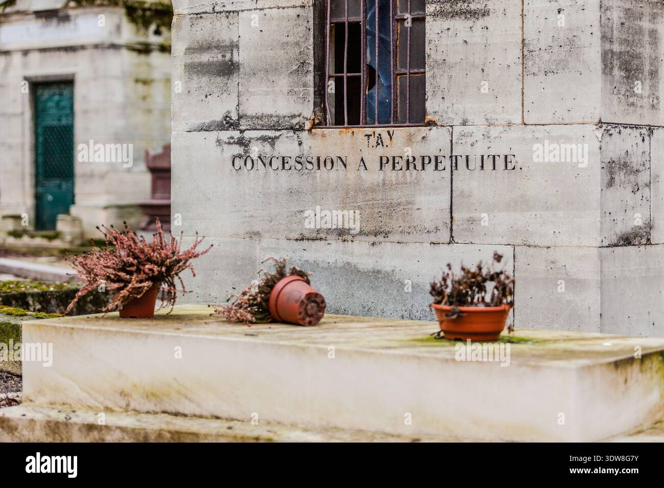 Wall of a mausoleum with the carved inscription "Concession à perpétuité" ("perpetual grant") at the Père-Lachaise Cemetery in Paris, with withered potted plants in front. Taken on 18 February 2012. Stock Photo