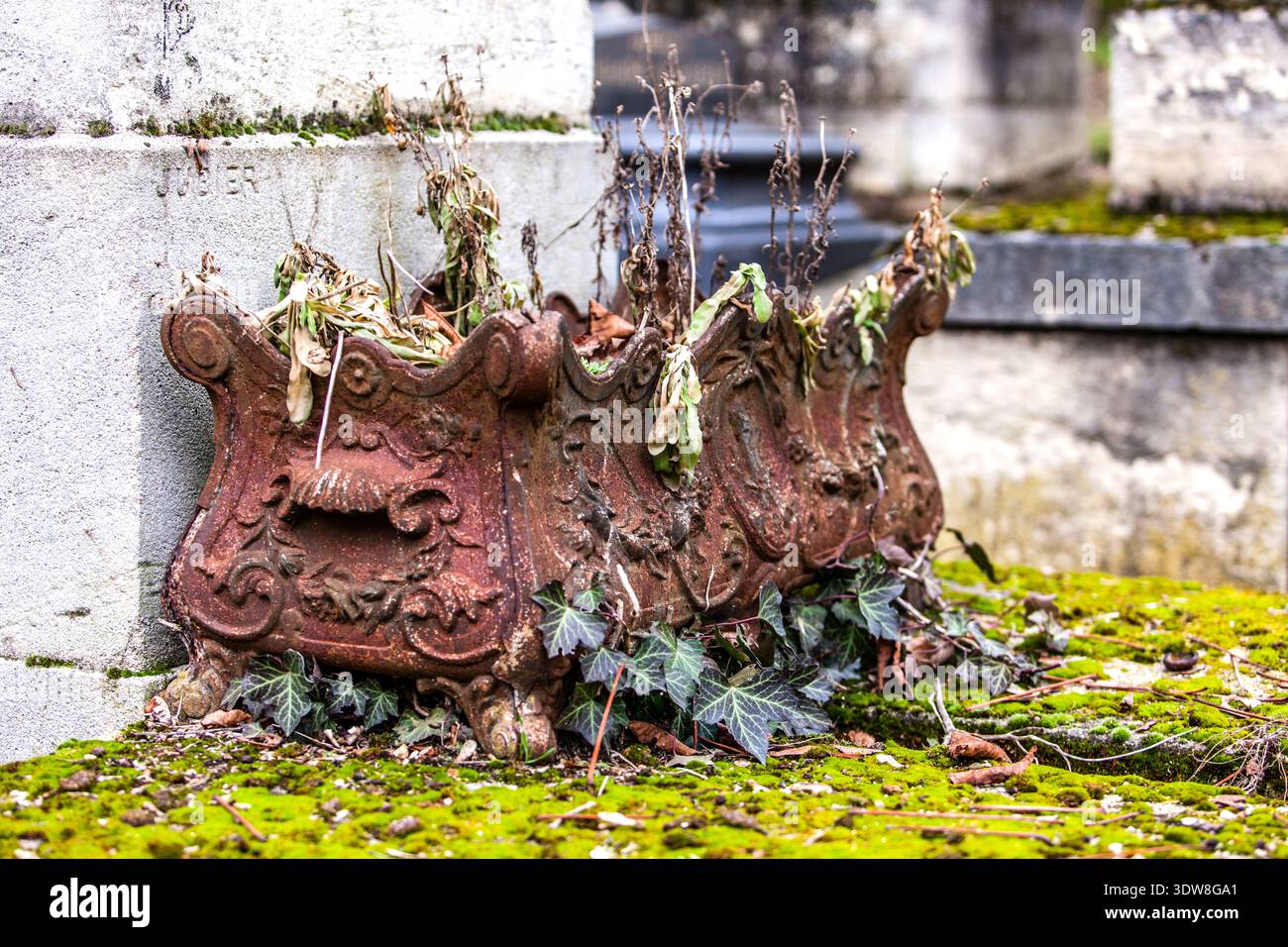 Rusted cast-iron flower box with withered plants on a moss-covered gravestone inscribed "Jubier" at the Père-Lachaise Cemetery in Paris. Taken on 18 February 2012. Stock Photo