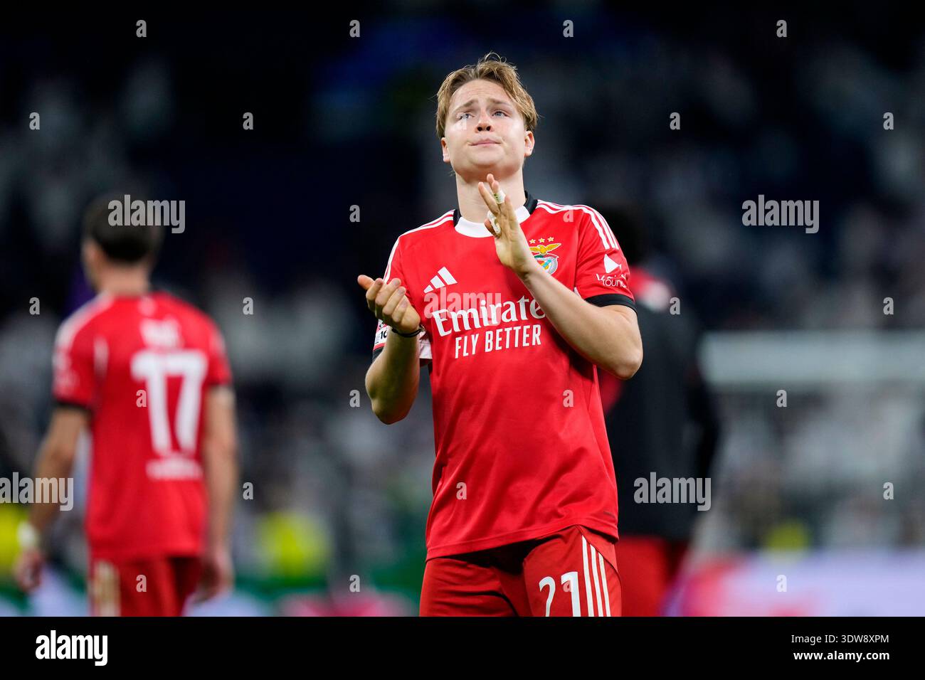 Andreas Schjelderup of SL Benfica during the UEFA Champions League ...
