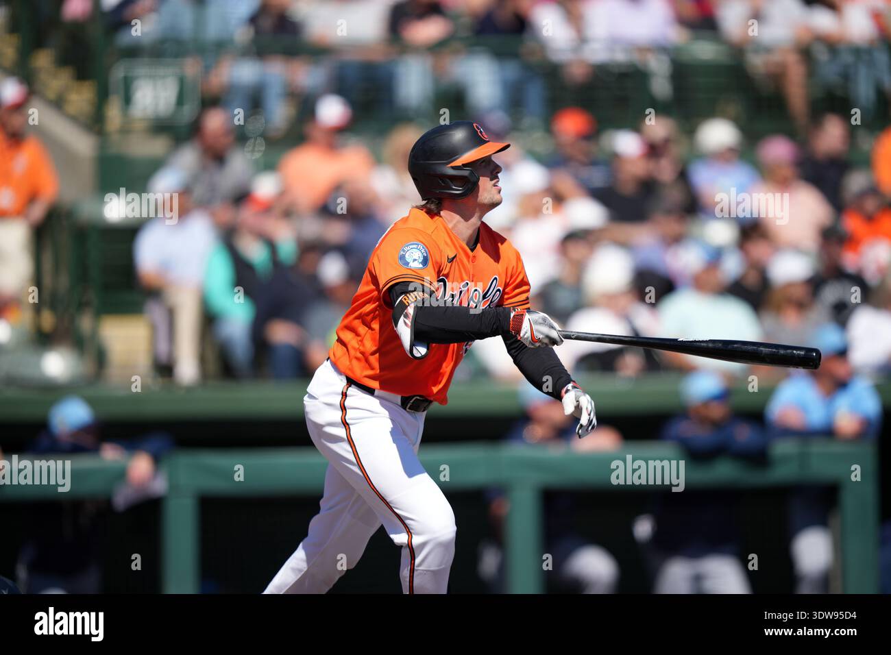 Baltimore Orioles' Adley Rutschman plays during a spring training ...
