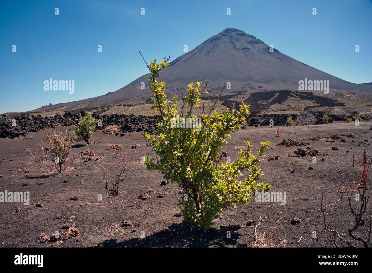 Fogo volcano on Fogo island on Cape Verde Stock Photo - Alamy