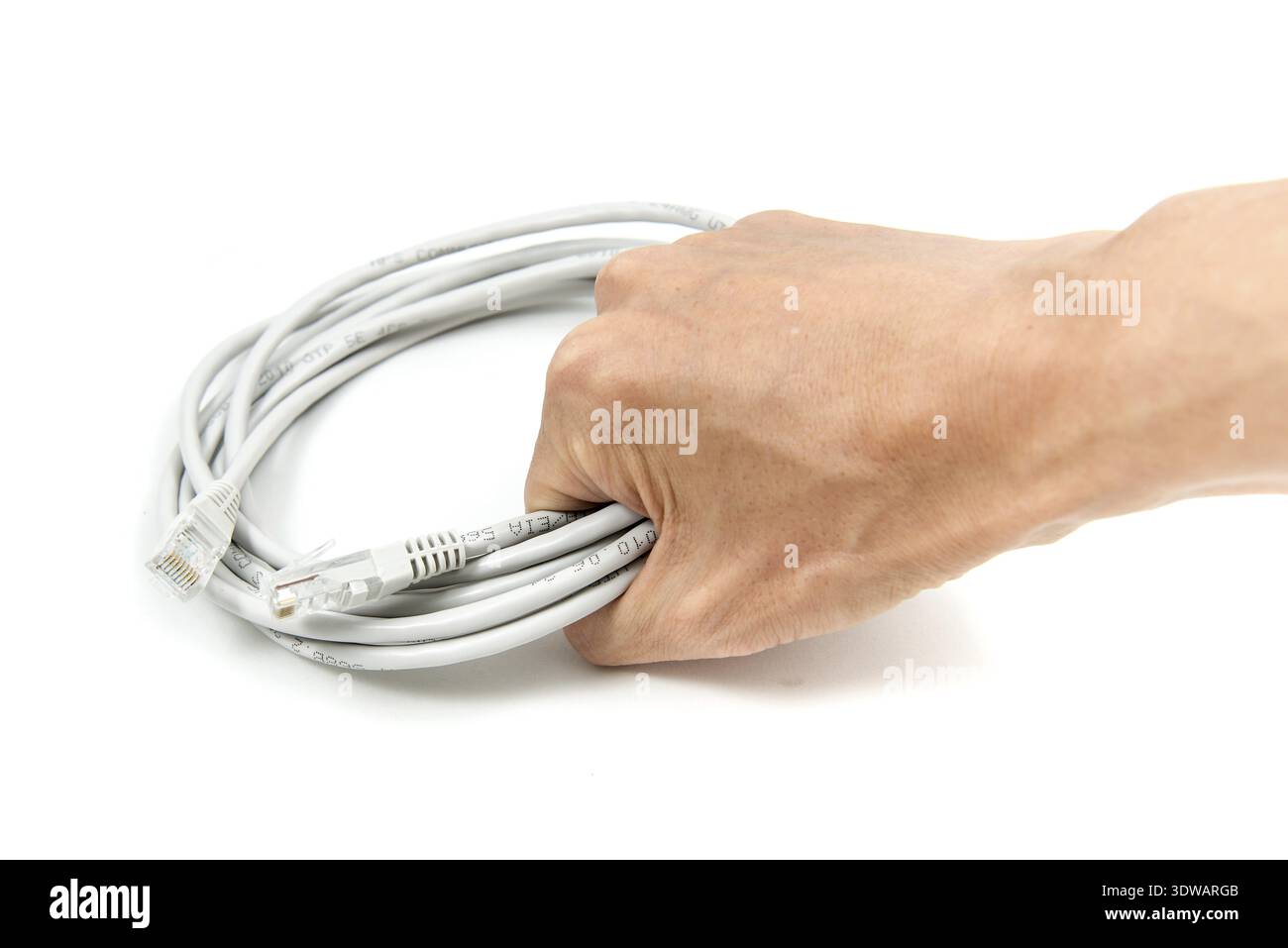 Ready-made LAN cable on IT professional hand Stock Photo