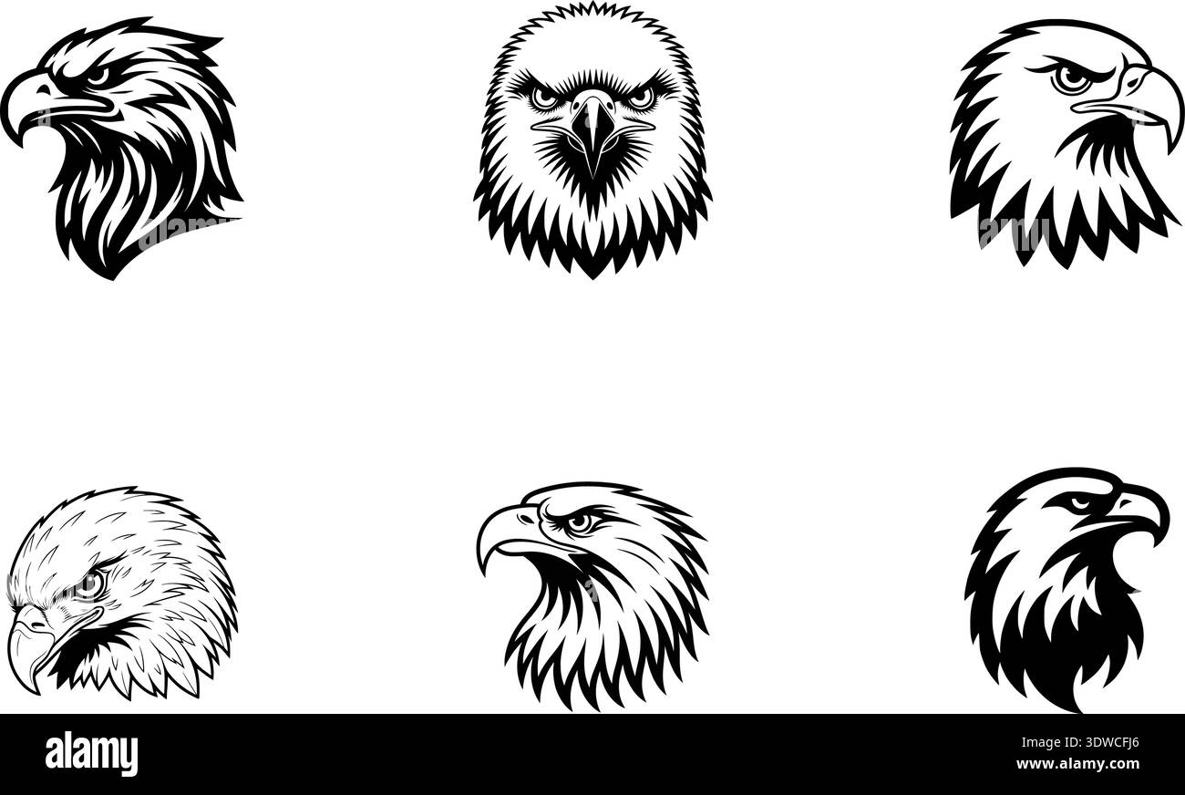 Bald eagle head detail Stock Vector Images - Alamy