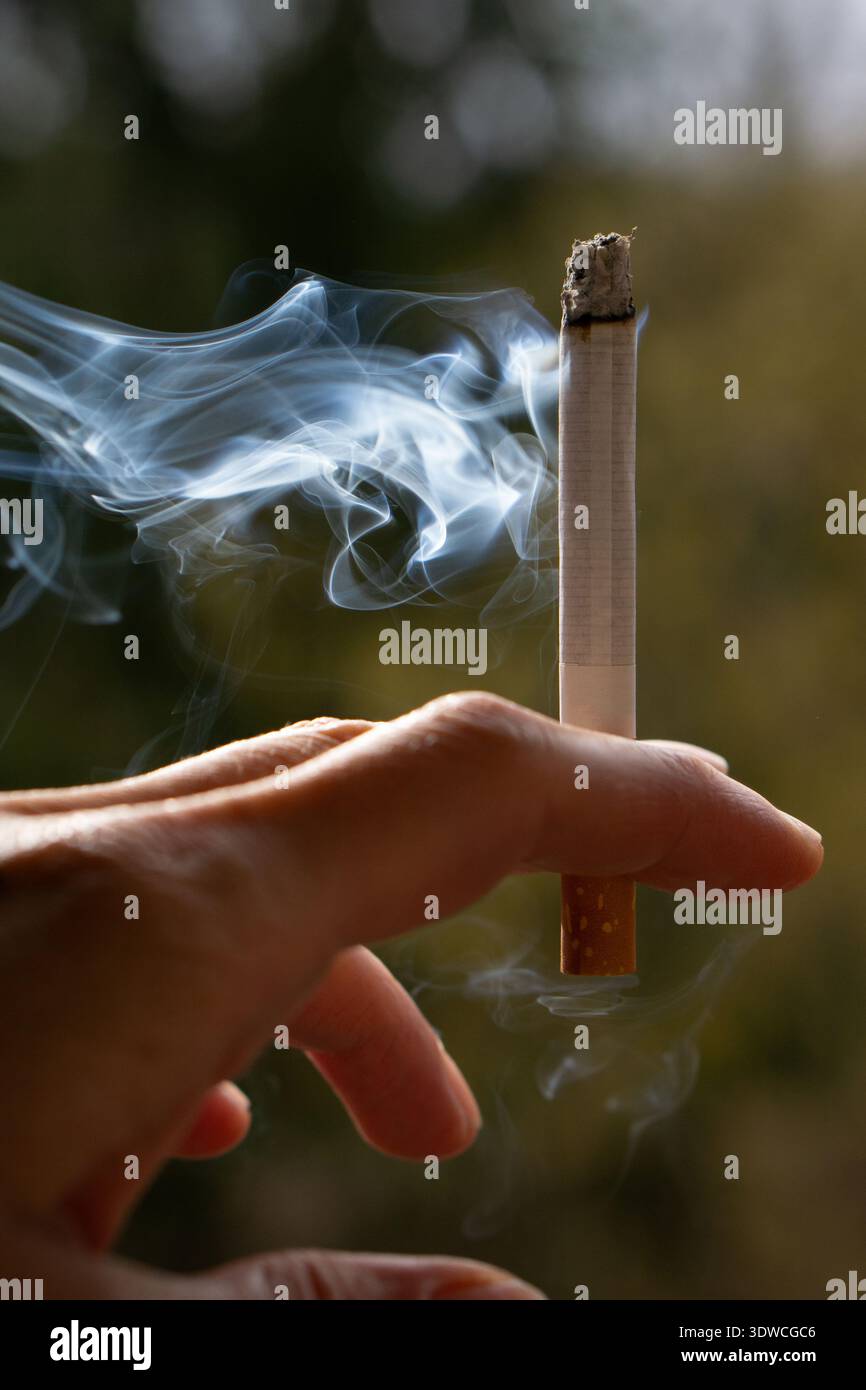 funny cigarette smoking memes Smoking bad : r/memes