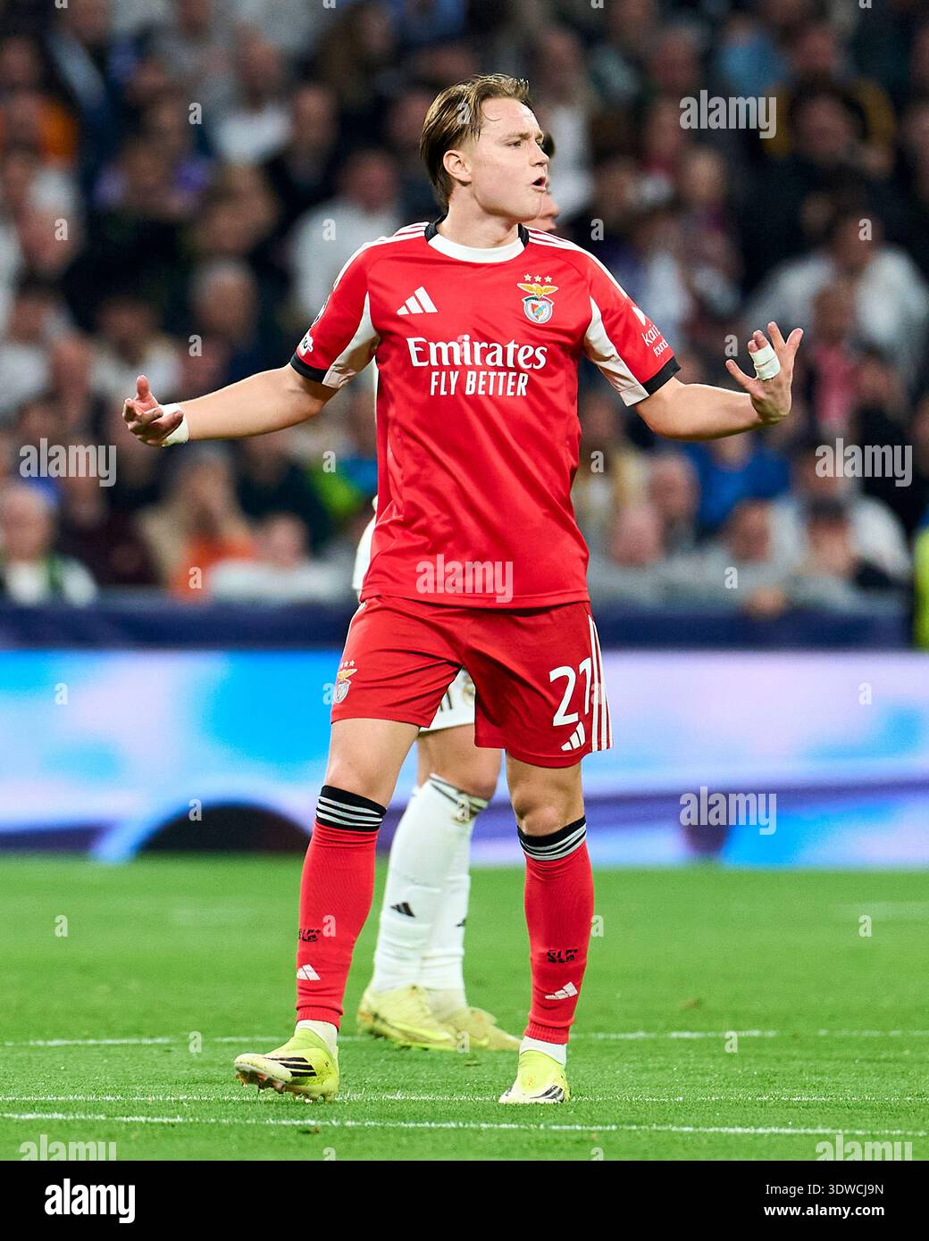 Andreas Schjelderup of SL Benfica during the UEFA Champions League ...