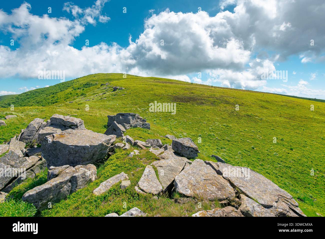 rocks and rolling hills in mountain landscape of ukraine in summer. sunny scenery with green grass on alpine meadow under blue sky with fluffy clouds. Stock Photo