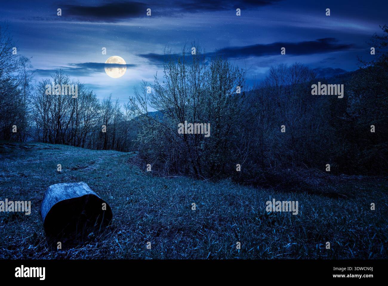 mountain landscape with green grass on a forest glade in spring at night. beautiful nature scenery with beech trees under dark sky in full moon light. Stock Photo