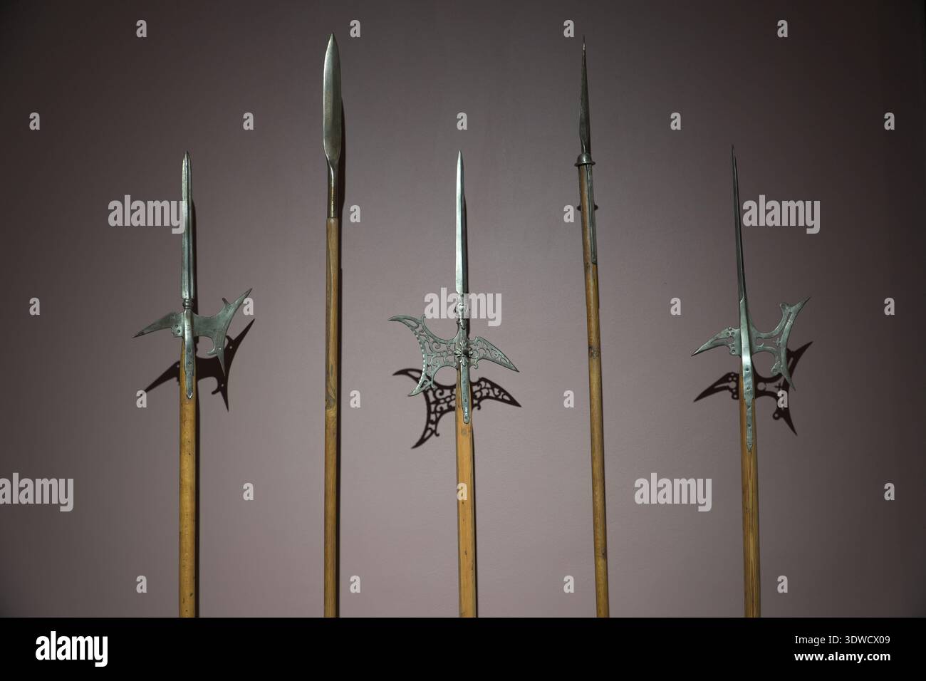 Antique halberds and spears on wooden shafts. Historical weapon display ...
