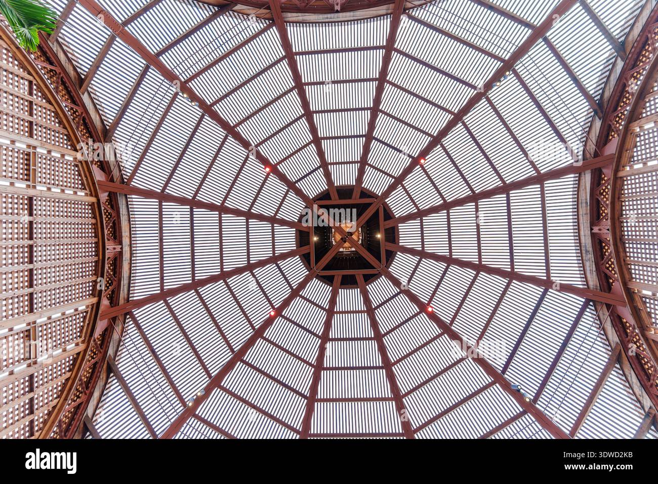 Showcasing radial symmetry hi-res stock photography and images - Alamy