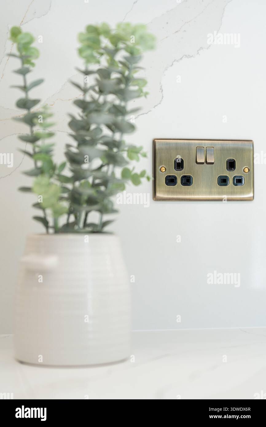 A modern interior detail of a London townhouse featuring a stylish brass power socket installed on a sleek marble wall, accompanied by a decorative po Stock Photo