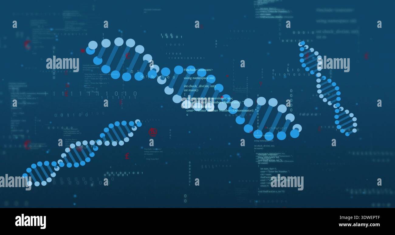Displaying central DNA helix curving across digital lab interface with nodes, code, binary Stock Photo