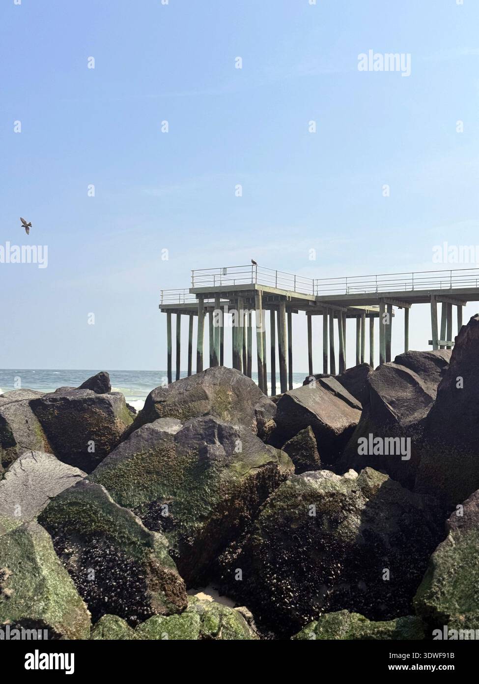 Mossy rock jetty at the New Jersey shore with ocean waves and a clear blue sky. - Smartphone Captured Stock Image