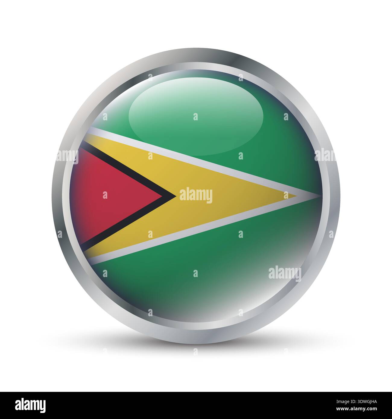Guyana Flag 3D Badge Illustration Stock Vector