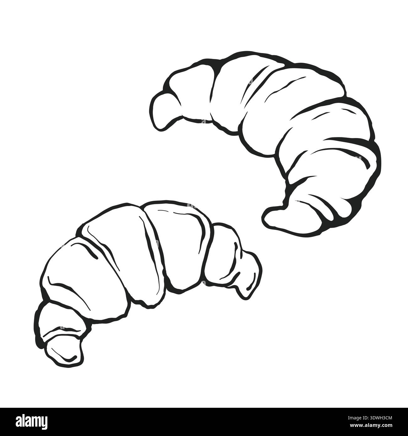 Hand drawn whimsical croissants illustration with detailed texture and ...