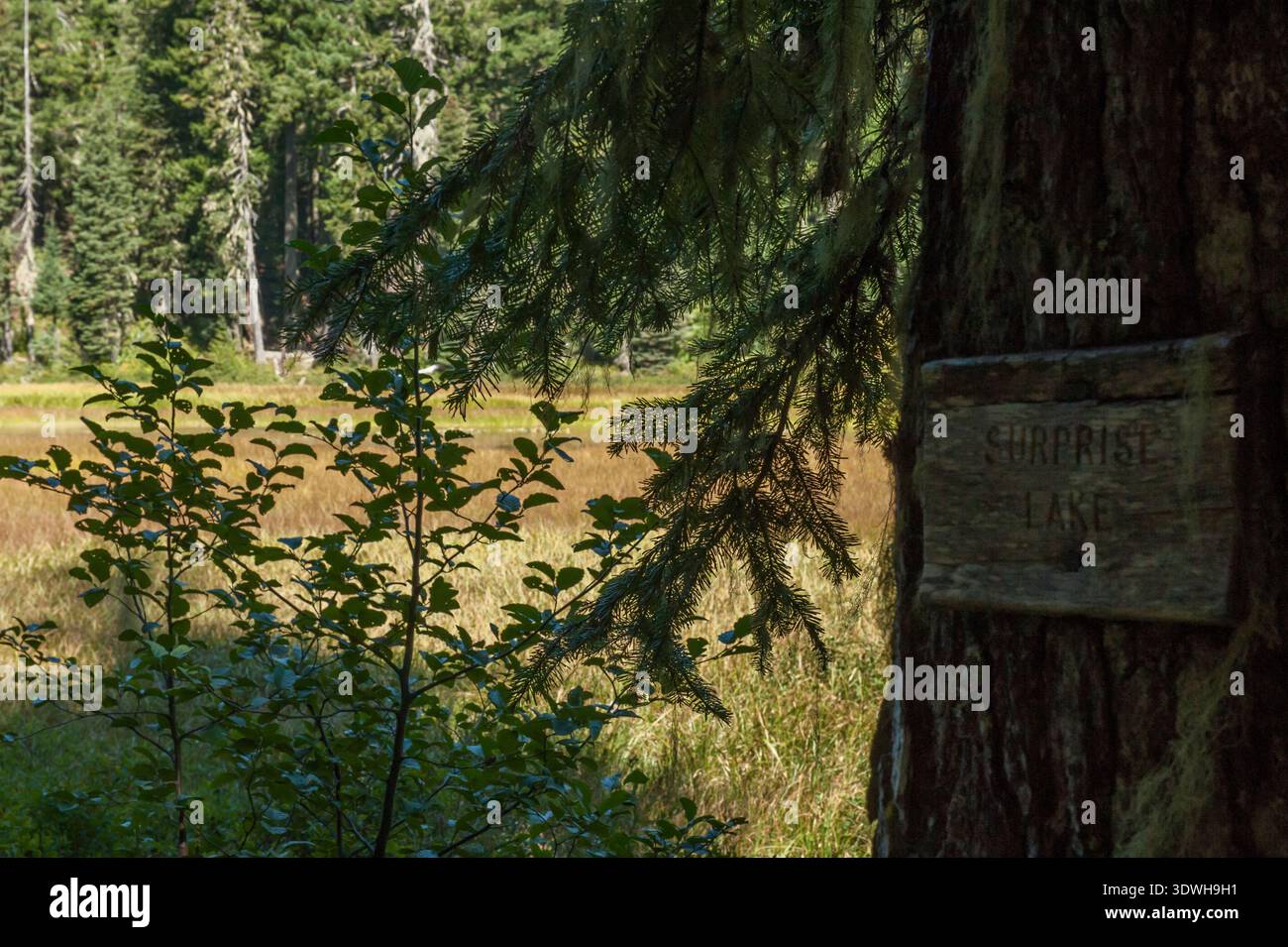 Surprise Lake in Oregon's Olallie Lake Scenic Area.  Not actually much of a lake. Stock Photo