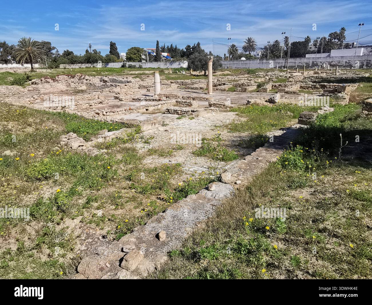 Roman ruins and ancient mosaics at Pupput Archaeological Site in Hammamet, Tunisia, showcasing the abandoned heritage from the region’s classical past. - Smartphone Captured Stock Image