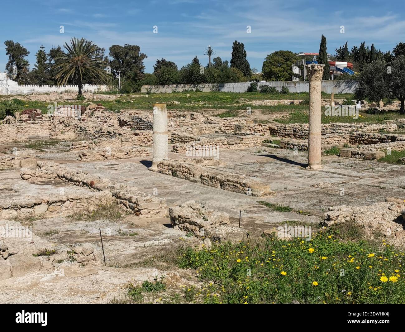 Roman ruins and ancient mosaics at Pupput Archaeological Site in Hammamet, Tunisia, showcasing the abandoned heritage from the region’s classical past. - Smartphone Captured Stock Image