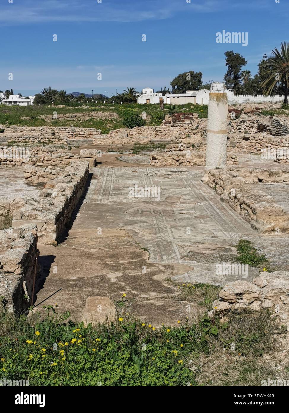 Roman ruins and ancient mosaics at Pupput Archaeological Site in Hammamet, Tunisia, showcasing the abandoned heritage from the region’s classical past. - Smartphone Captured Stock Image