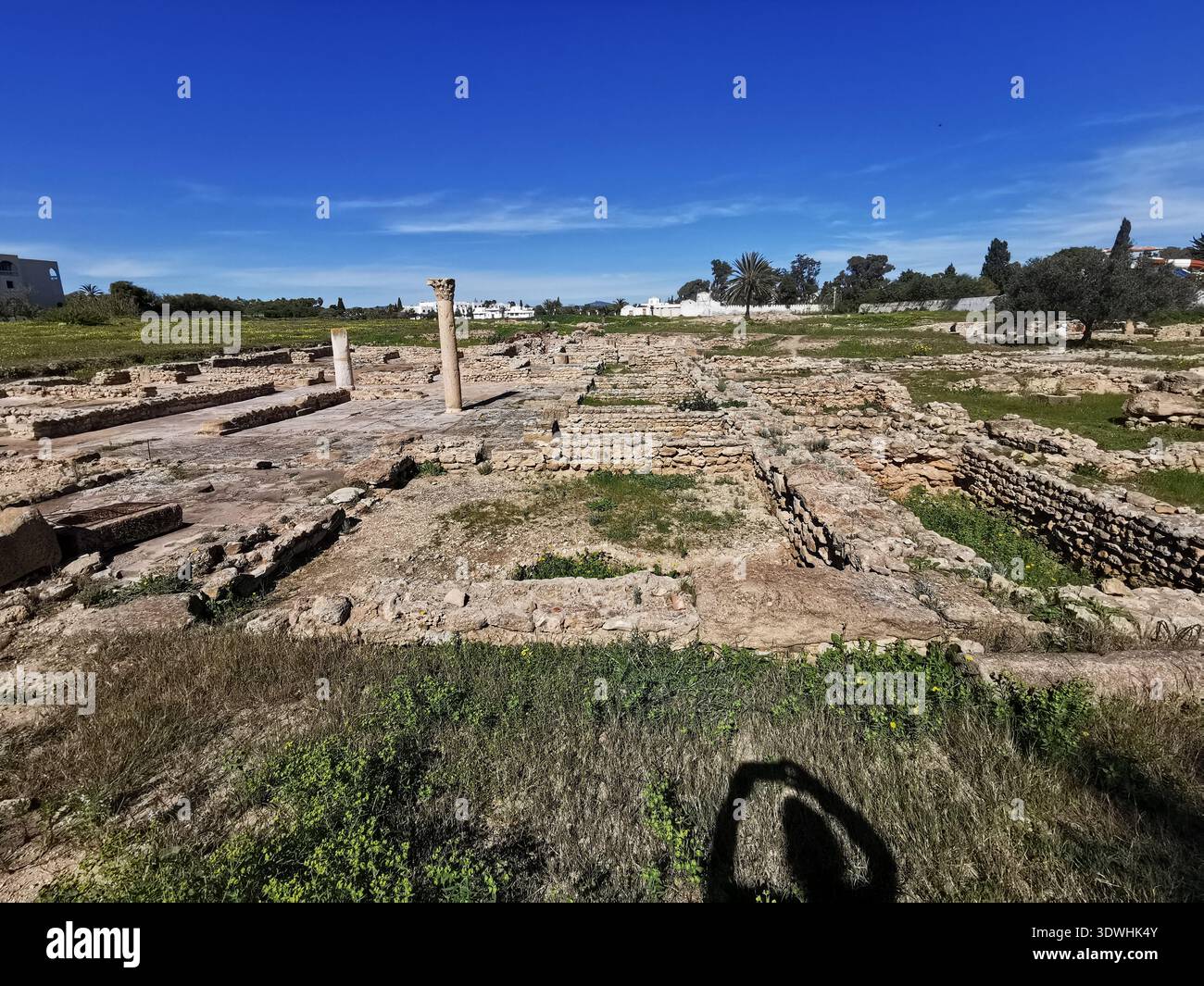 Roman ruins and ancient mosaics at Pupput Archaeological Site in Hammamet, Tunisia, showcasing the abandoned heritage from the region’s classical past. - Smartphone Captured Stock Image