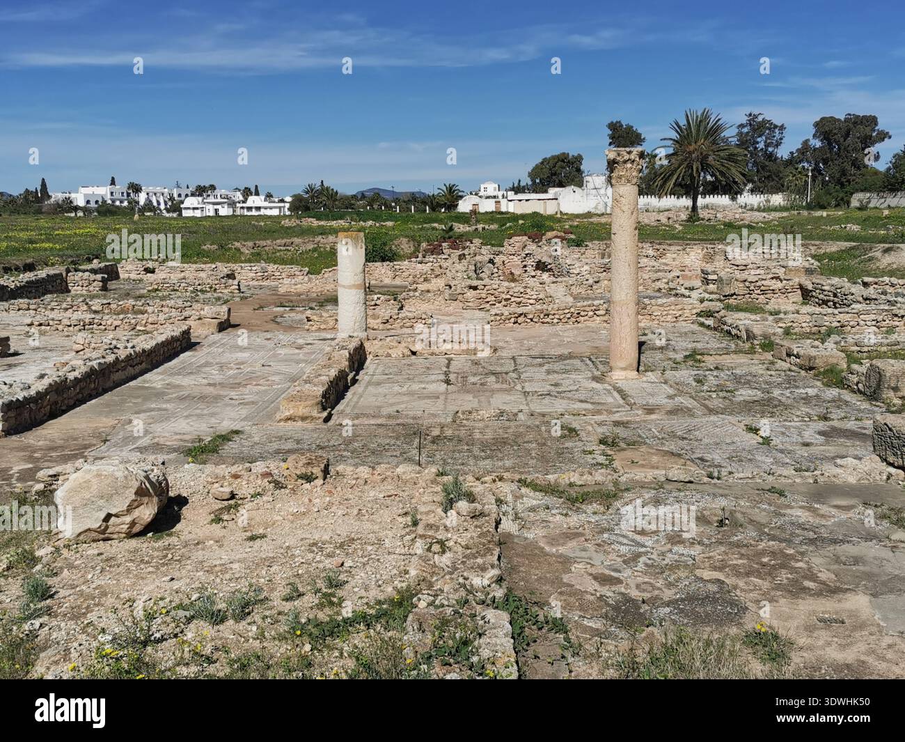 Roman ruins and ancient mosaics at Pupput Archaeological Site in Hammamet, Tunisia, showcasing the abandoned heritage from the region’s classical past. - Smartphone Captured Stock Image