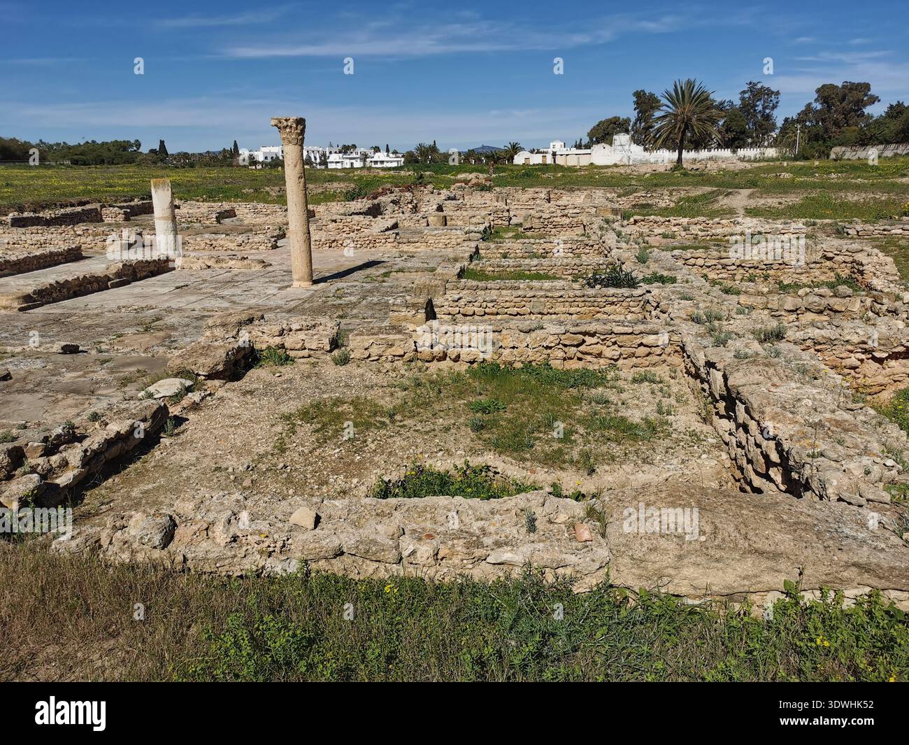 Roman ruins and ancient mosaics at Pupput Archaeological Site in Hammamet, Tunisia, showcasing the abandoned heritage from the region’s classical past. - Smartphone Captured Stock Image