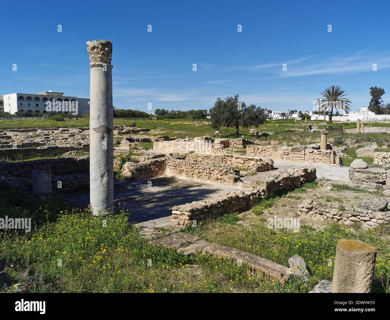 Roman ruins and ancient mosaics at Pupput Archaeological Site in Hammamet, Tunisia, showcasing the abandoned heritage from the region’s classical past. - Smartphone Captured Stock Image