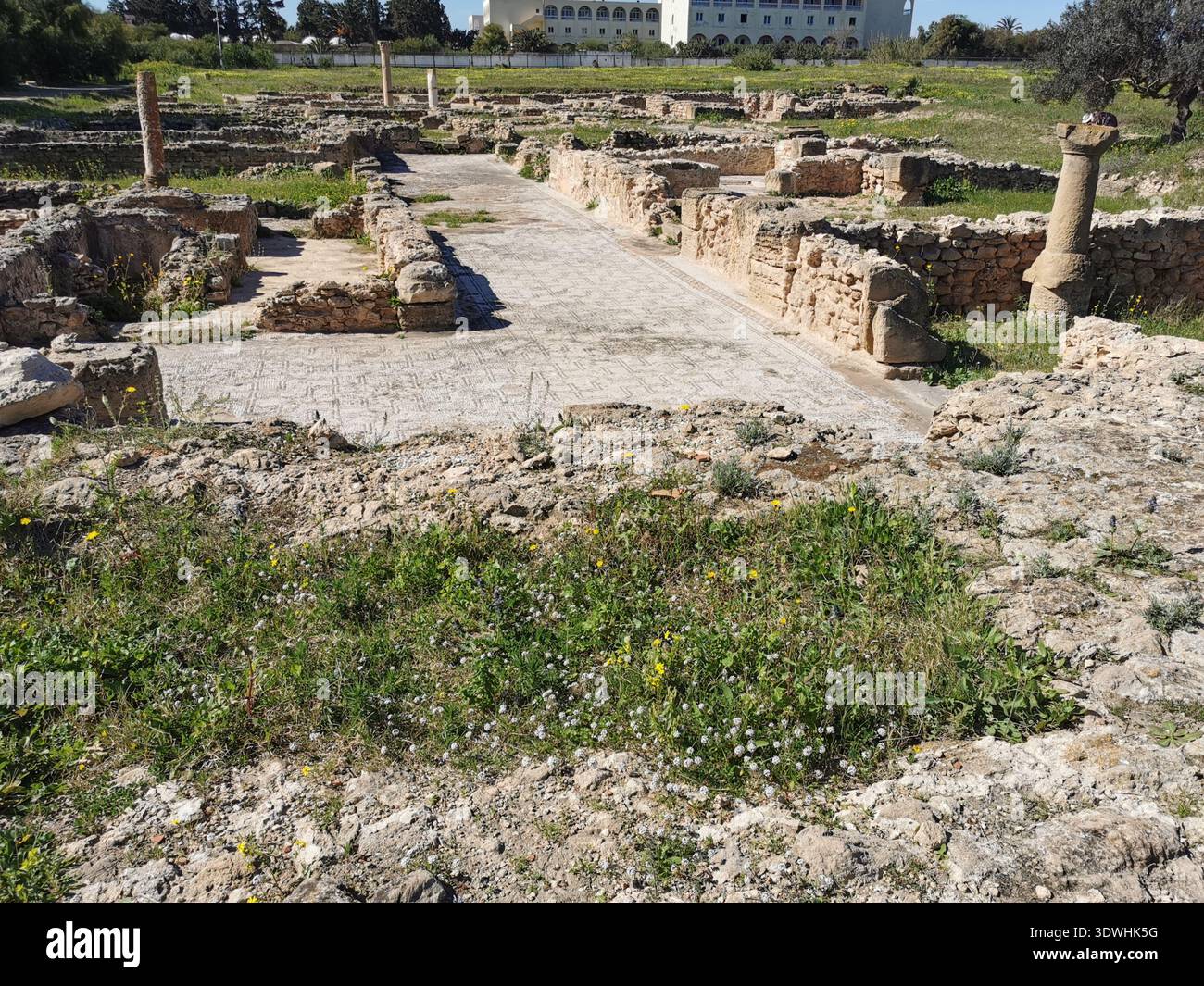 Roman ruins and ancient mosaics at Pupput Archaeological Site in Hammamet, Tunisia, showcasing the abandoned heritage from the region’s classical past. - Smartphone Captured Stock Image