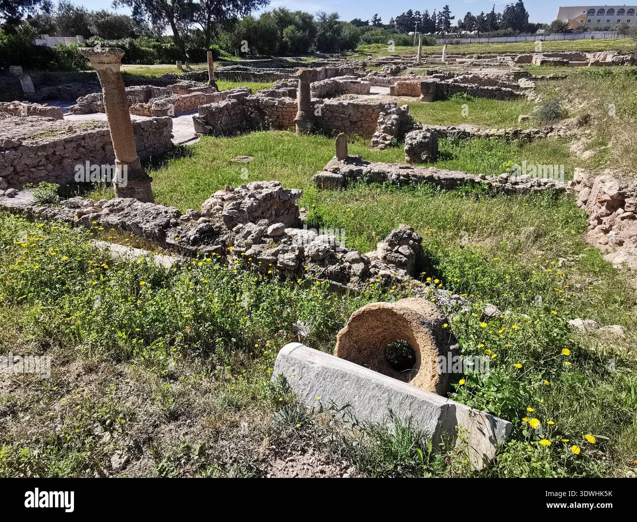 Roman ruins and ancient mosaics at Pupput Archaeological Site in Hammamet, Tunisia, showcasing the abandoned heritage from the region’s classical past. - Smartphone Captured Stock Image