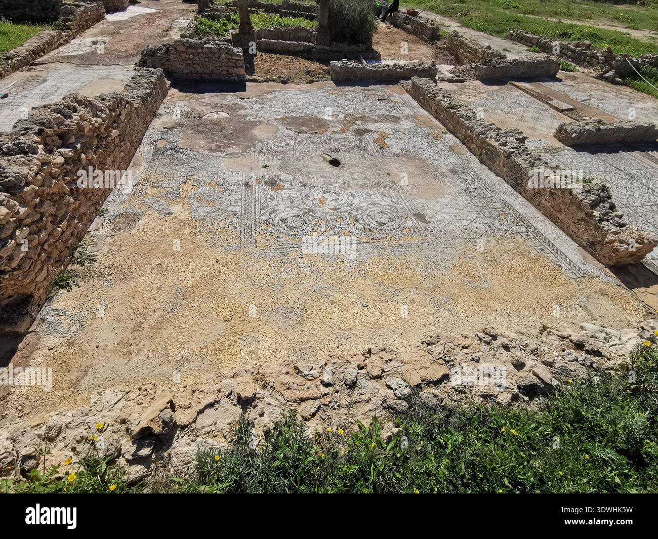 Roman ruins and ancient mosaics at Pupput Archaeological Site in Hammamet, Tunisia, showcasing the abandoned heritage from the region’s classical past. - Smartphone Captured Stock Image