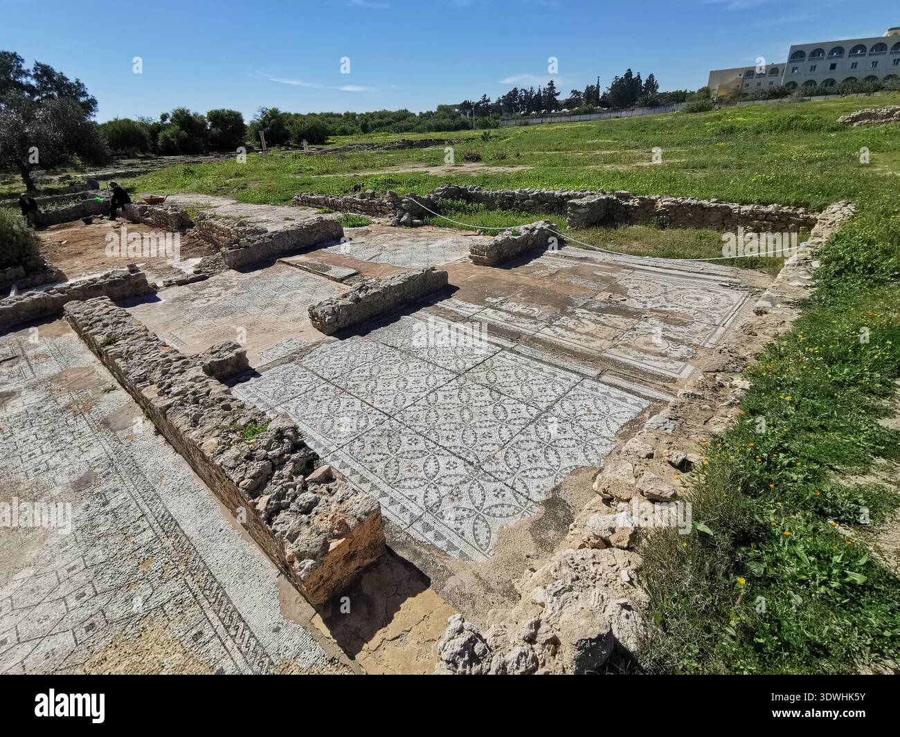 Roman ruins and ancient mosaics at Pupput Archaeological Site in Hammamet, Tunisia, showcasing the abandoned heritage from the region’s classical past. - Smartphone Captured Stock Image