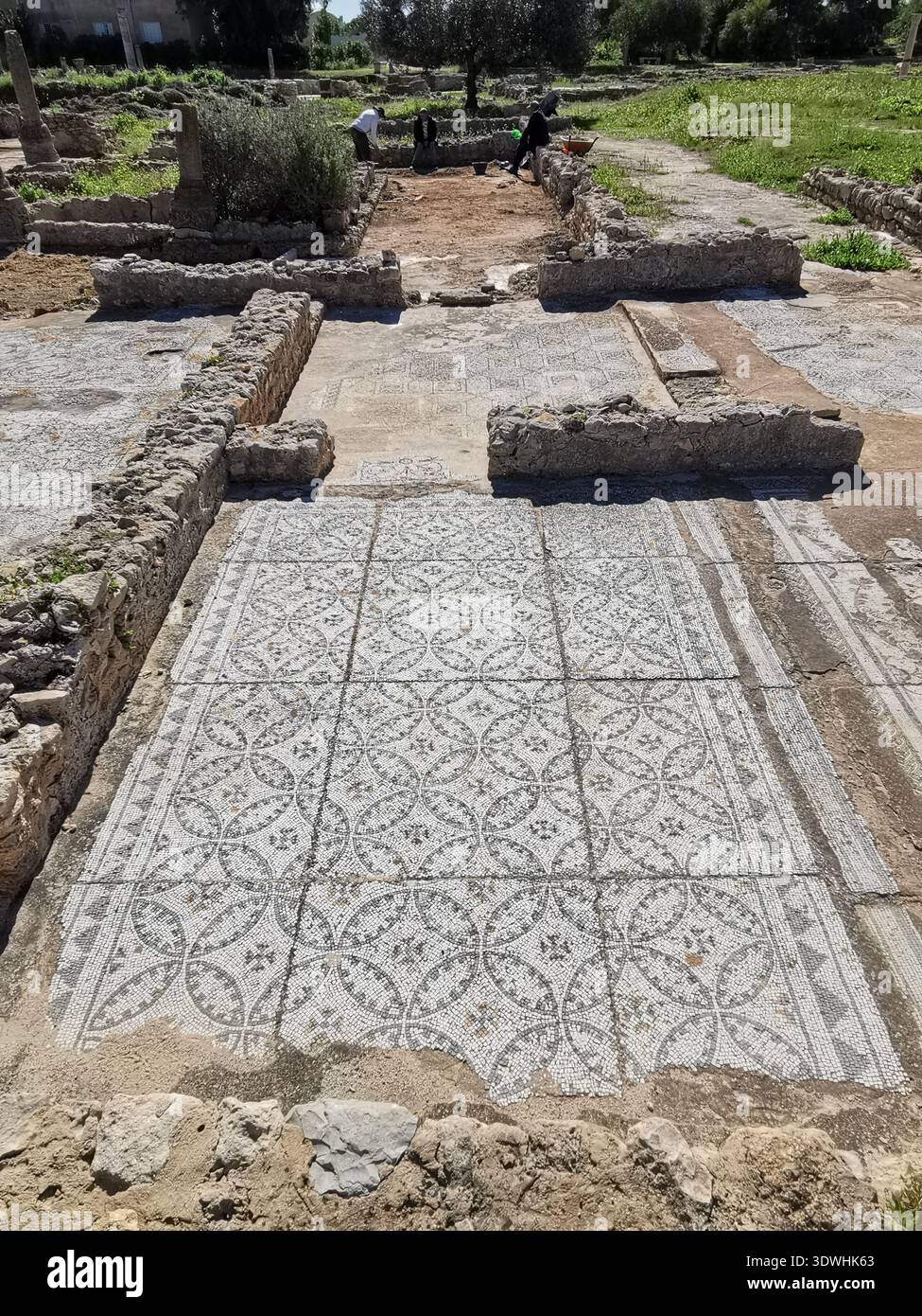 Roman ruins and ancient mosaics at Pupput Archaeological Site in Hammamet, Tunisia, showcasing the abandoned heritage from the region’s classical past. - Smartphone Captured Stock Image