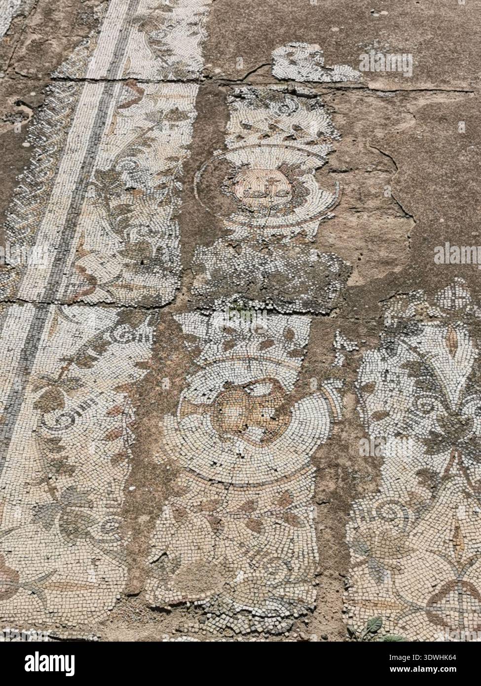 Roman ruins and ancient mosaics at Pupput Archaeological Site in Hammamet, Tunisia, showcasing the abandoned heritage from the region’s classical past. - Smartphone Captured Stock Image