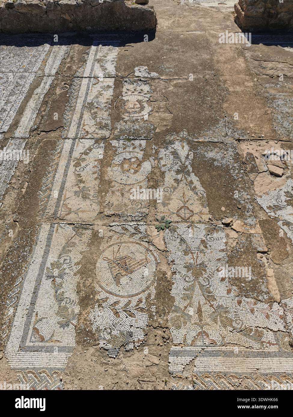 Roman ruins and ancient mosaics at Pupput Archaeological Site in Hammamet, Tunisia, showcasing the abandoned heritage from the region’s classical past. - Smartphone Captured Stock Image