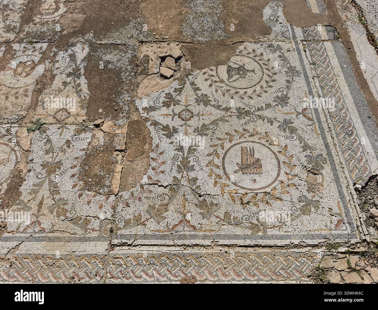 Roman ruins and ancient mosaics at Pupput Archaeological Site in Hammamet, Tunisia, showcasing the abandoned heritage from the region’s classical past. - Smartphone Captured Stock Image