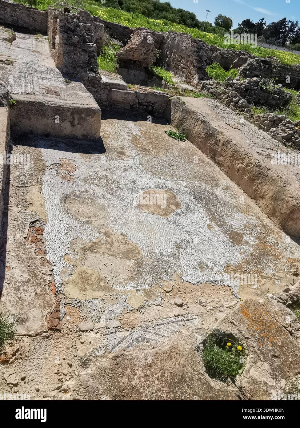 Roman ruins and ancient mosaics at Pupput Archaeological Site in Hammamet, Tunisia, showcasing the abandoned heritage from the region’s classical past. - Smartphone Captured Stock Image