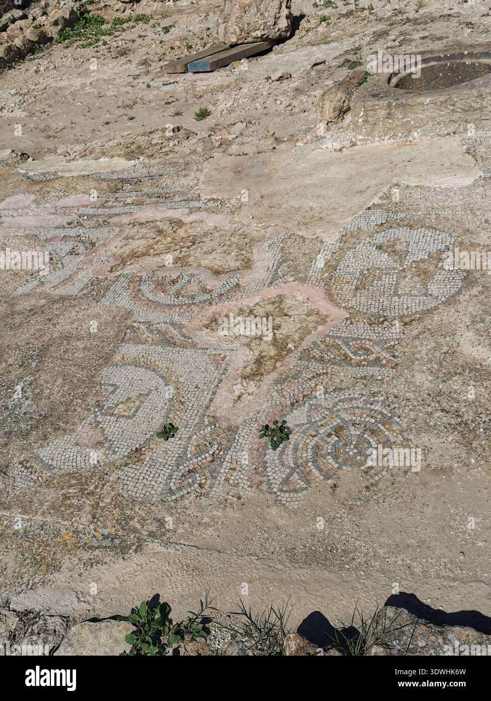 Roman ruins and ancient mosaics at Pupput Archaeological Site in Hammamet, Tunisia, showcasing the abandoned heritage from the region’s classical past. - Smartphone Captured Stock Image