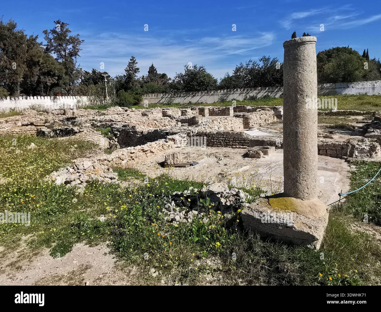 Roman ruins and ancient mosaics at Pupput Archaeological Site in Hammamet, Tunisia, showcasing the abandoned heritage from the region’s classical past. - Smartphone Captured Stock Image