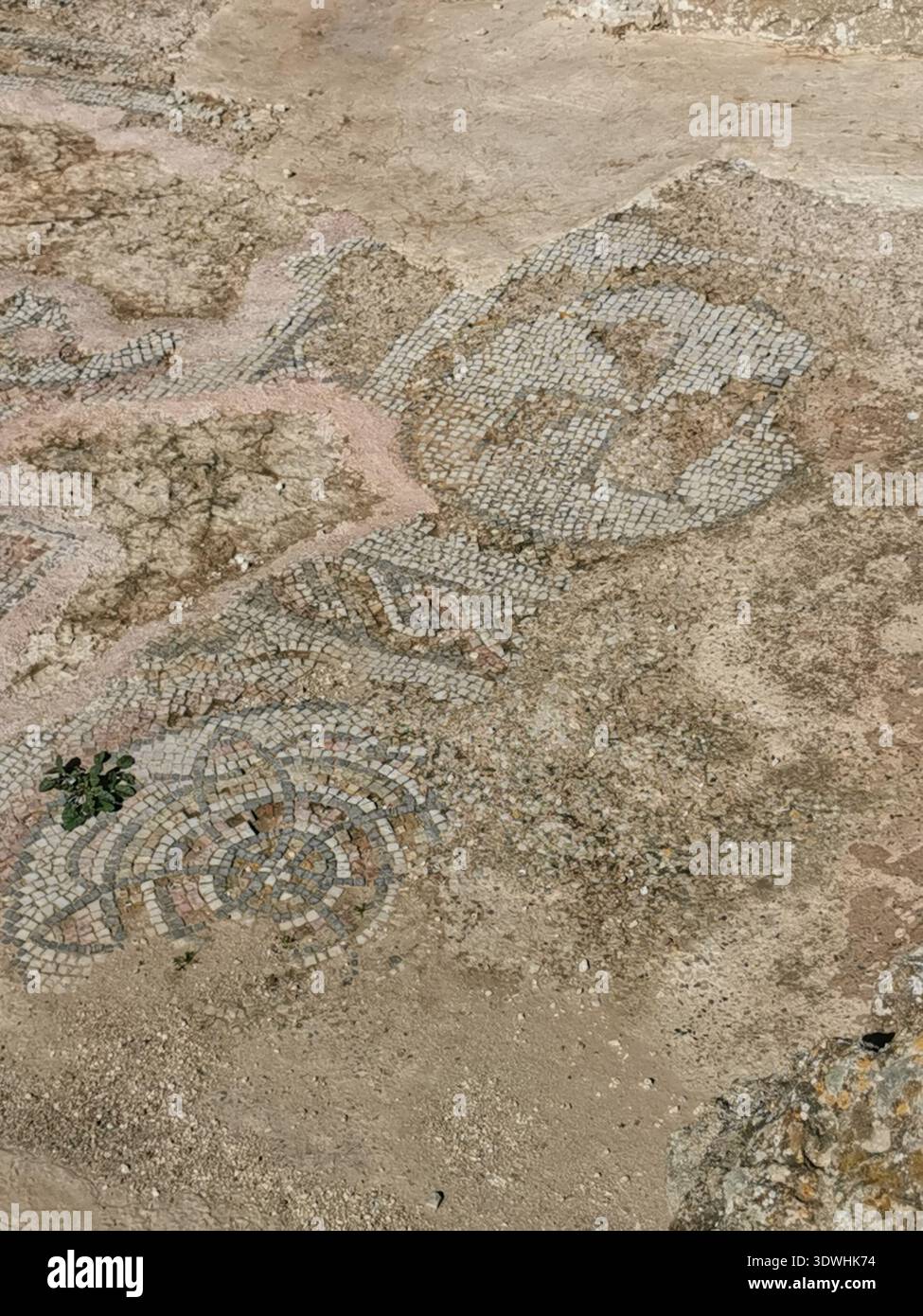 Roman ruins and ancient mosaics at Pupput Archaeological Site in Hammamet, Tunisia, showcasing the abandoned heritage from the region’s classical past. - Smartphone Captured Stock Image