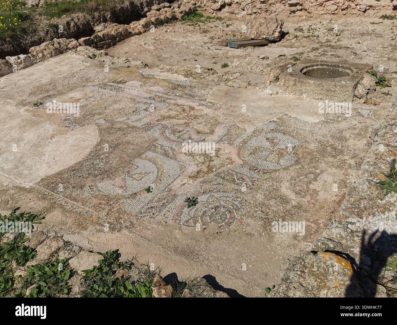 Roman ruins and ancient mosaics at Pupput Archaeological Site in Hammamet, Tunisia, showcasing the abandoned heritage from the region’s classical past. - Smartphone Captured Stock Image