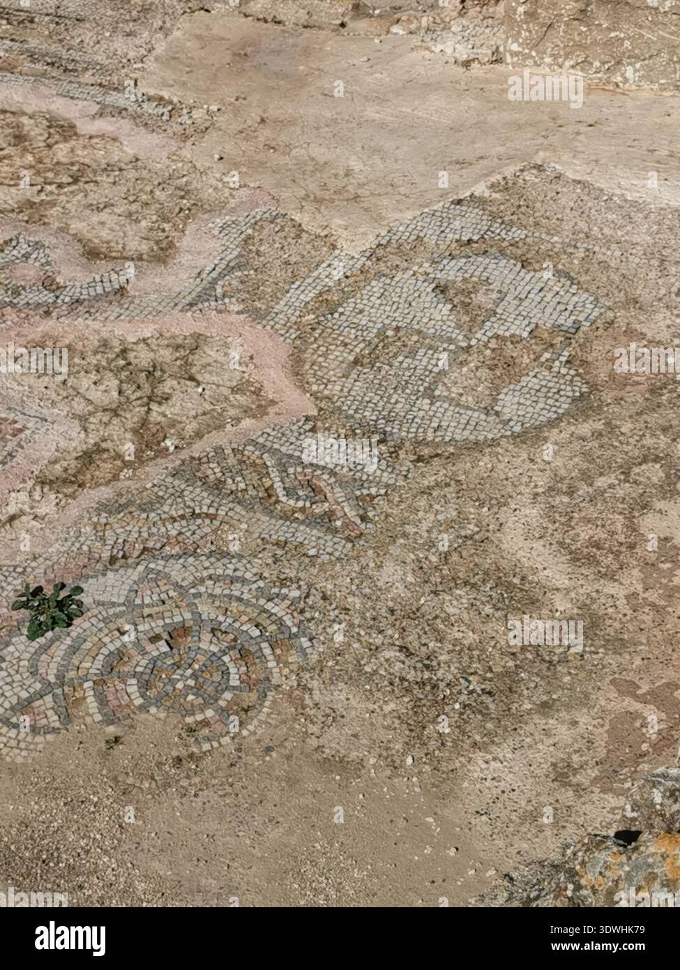 Roman ruins and ancient mosaics at Pupput Archaeological Site in Hammamet, Tunisia, showcasing the abandoned heritage from the region’s classical past. - Smartphone Captured Stock Image