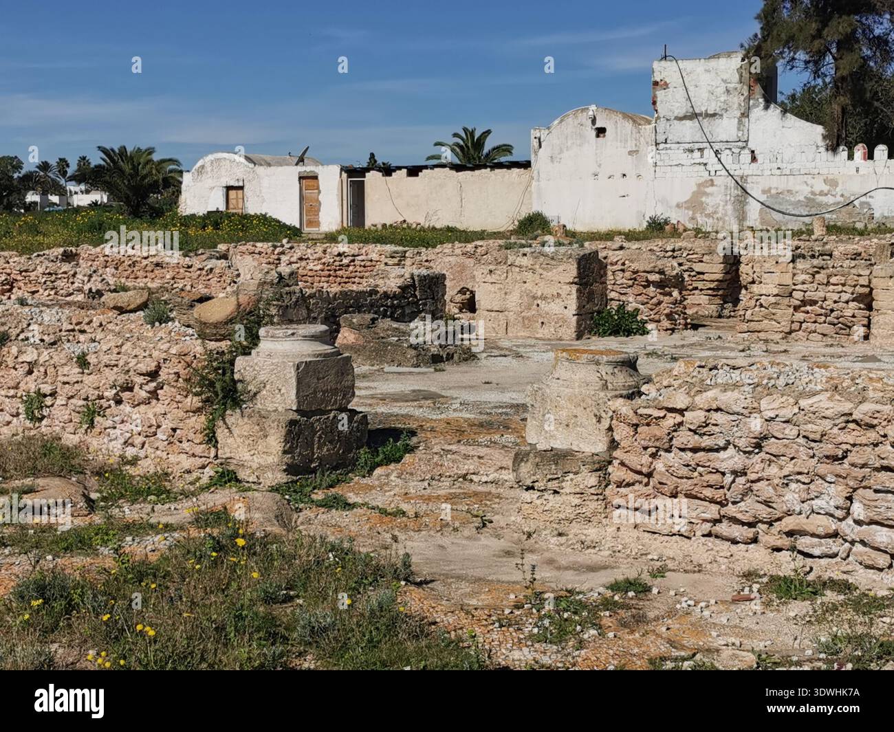 Roman ruins and ancient mosaics at Pupput Archaeological Site in Hammamet, Tunisia, showcasing the abandoned heritage from the region’s classical past. - Smartphone Captured Stock Image