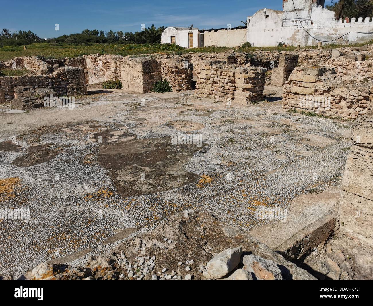 Roman ruins and ancient mosaics at Pupput Archaeological Site in Hammamet, Tunisia, showcasing the abandoned heritage from the region’s classical past. - Smartphone Captured Stock Image