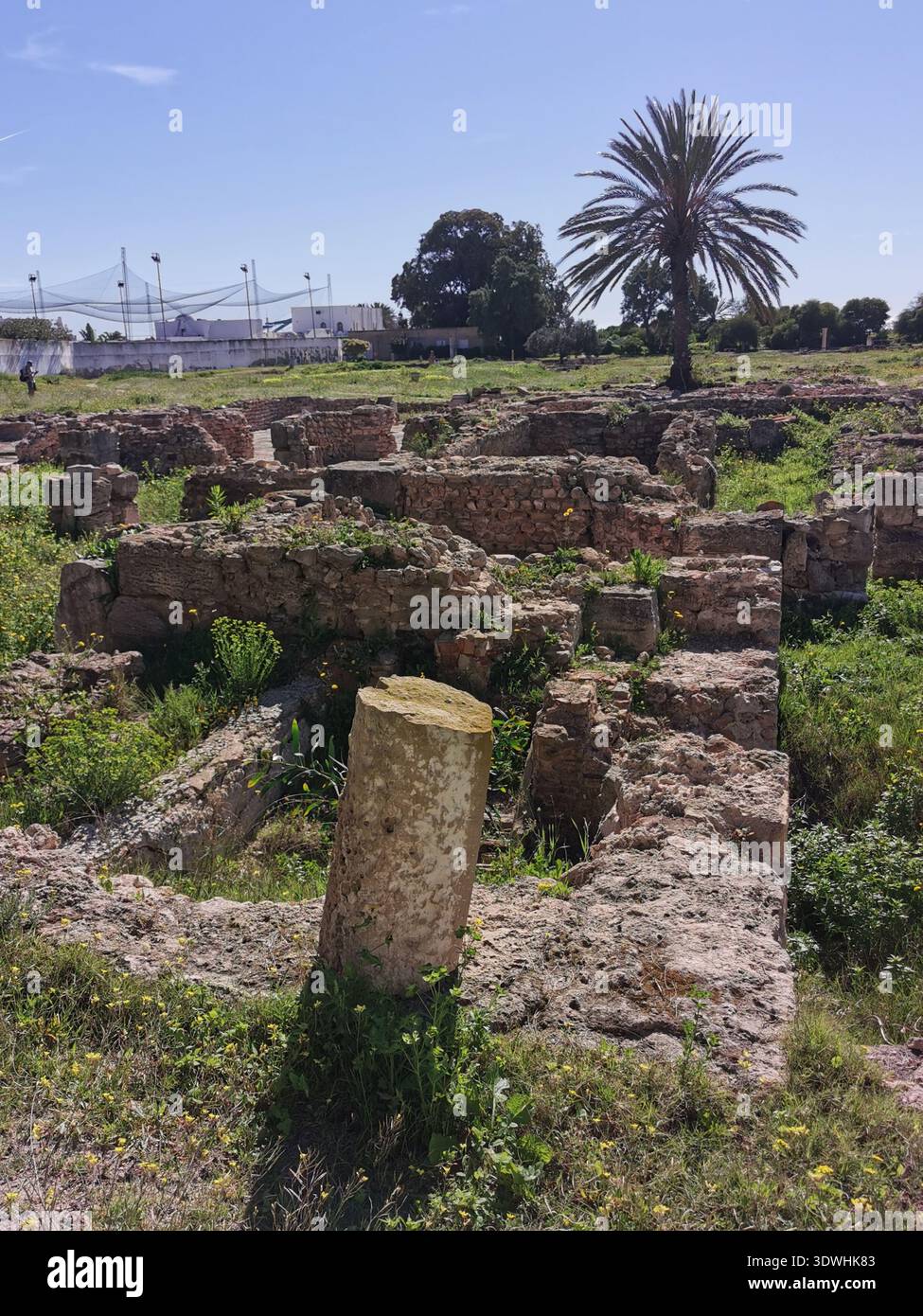 Roman ruins and ancient mosaics at Pupput Archaeological Site in Hammamet, Tunisia, showcasing the abandoned heritage from the region’s classical past. - Smartphone Captured Stock Image