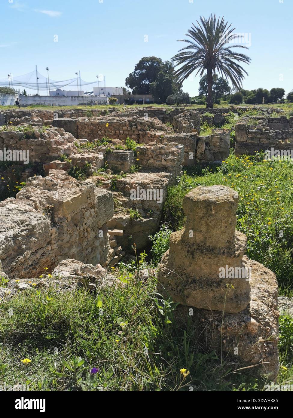 Roman ruins and ancient mosaics at Pupput Archaeological Site in Hammamet, Tunisia, showcasing the abandoned heritage from the region’s classical past. - Smartphone Captured Stock Image