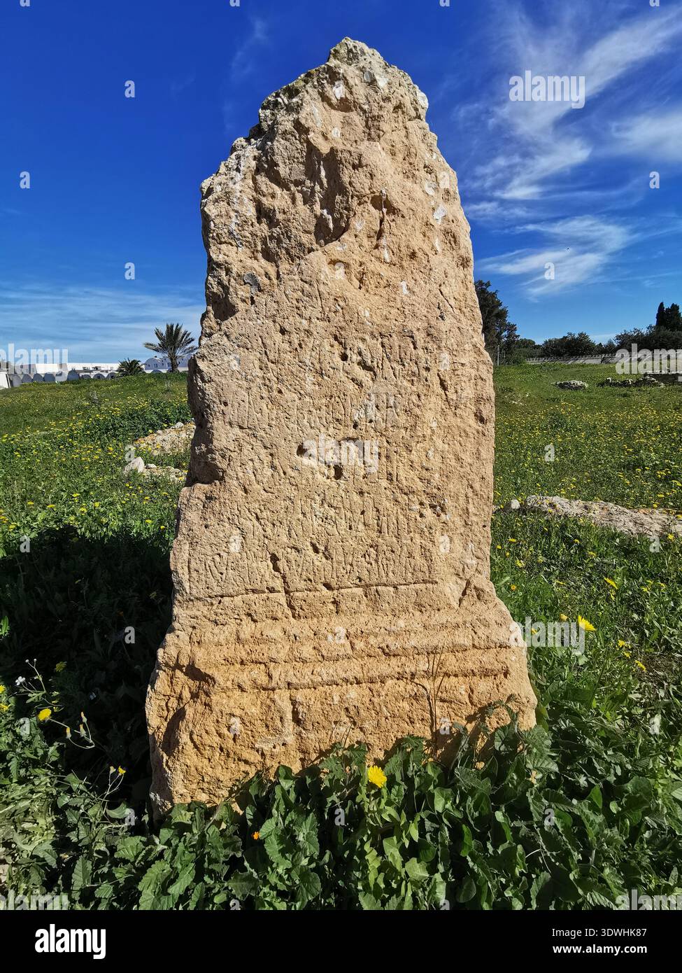 Roman ruins and ancient mosaics at Pupput Archaeological Site in Hammamet, Tunisia, showcasing the abandoned heritage from the region’s classical past. - Smartphone Captured Stock Image