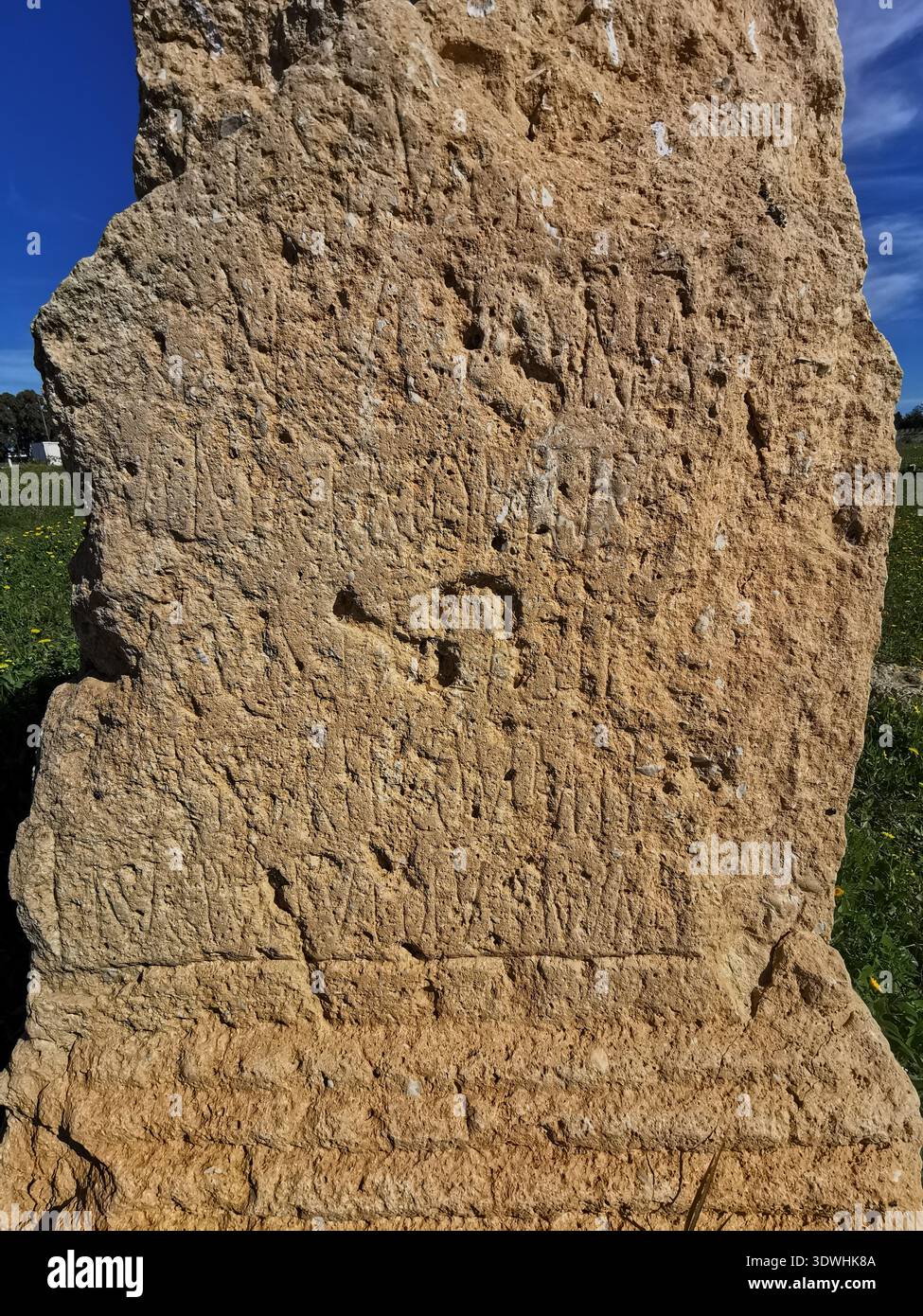 Roman ruins and ancient mosaics at Pupput Archaeological Site in Hammamet, Tunisia, showcasing the abandoned heritage from the region’s classical past. - Smartphone Captured Stock Image