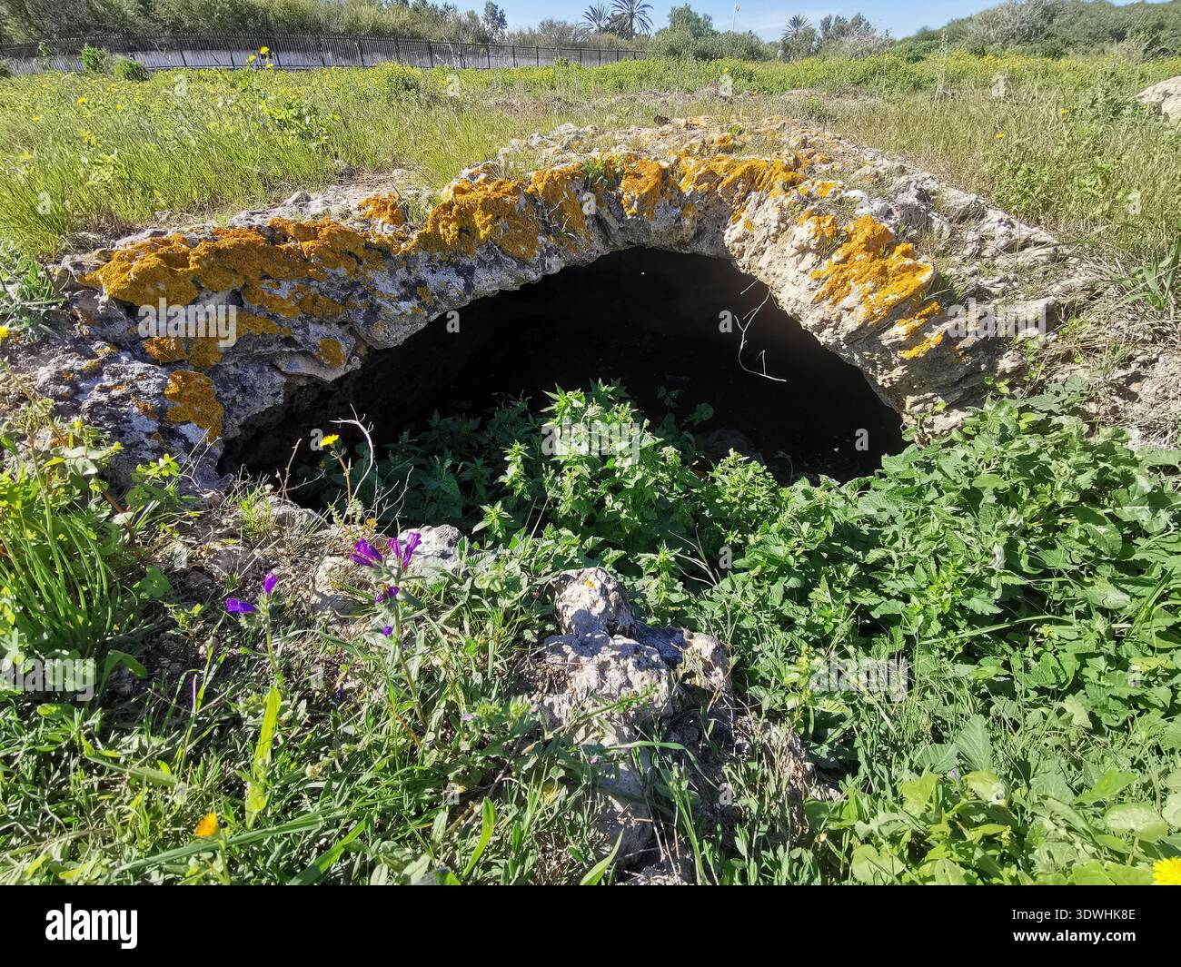 Roman ruins and ancient mosaics at Pupput Archaeological Site in Hammamet, Tunisia, showcasing the abandoned heritage from the region’s classical past. - Smartphone Captured Stock Image