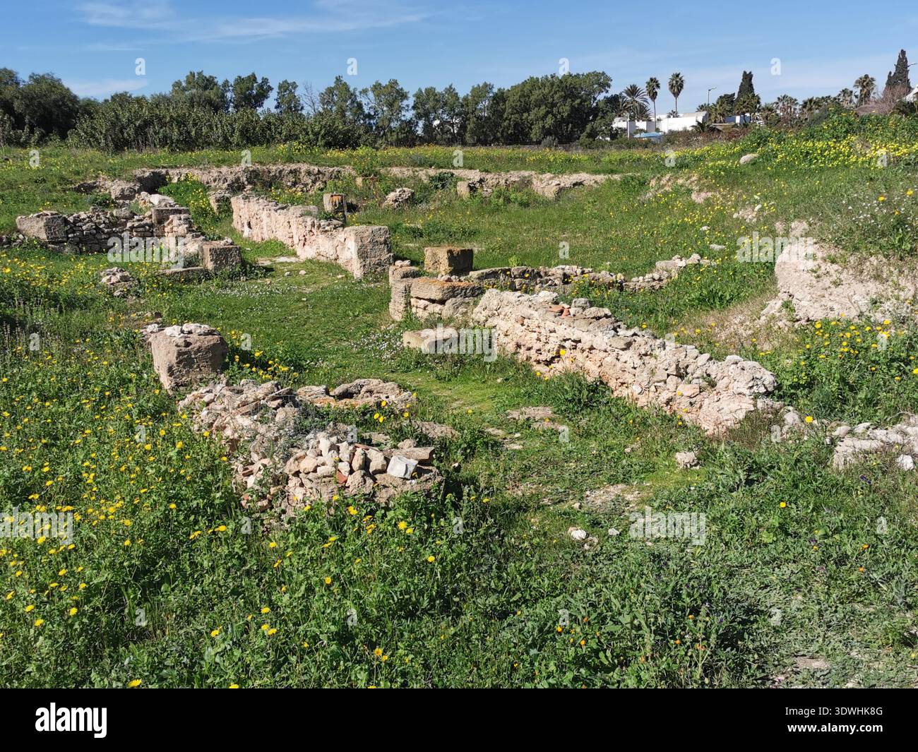 Roman ruins and ancient mosaics at Pupput Archaeological Site in Hammamet, Tunisia, showcasing the abandoned heritage from the region’s classical past. - Smartphone Captured Stock Image